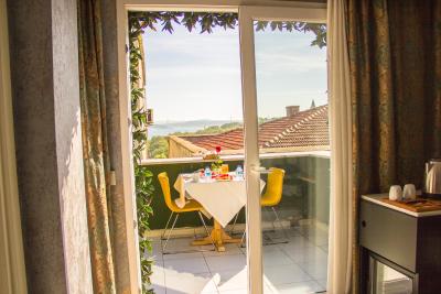 آلباتروس هاگیا سوفیا