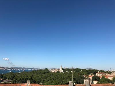 آلباتروس هاگیا سوفیا