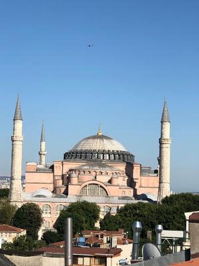آلباتروس هاگیا سوفیا