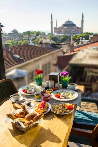 آلباتروس هاگیا سوفیا