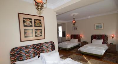 سارنیک پرمیر