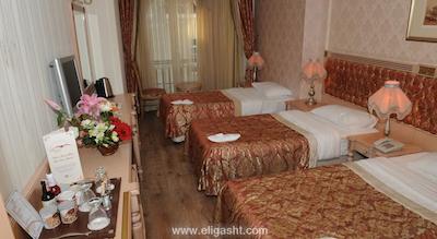 سارنیک پرمیر