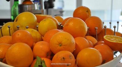 سارنیک پرمیر