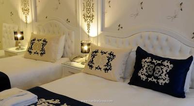 سارنیک پرمیر