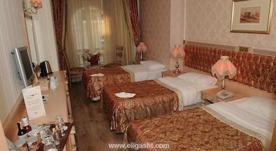 سارنیک پرمیر