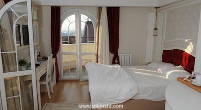 سارنیک پرمیر