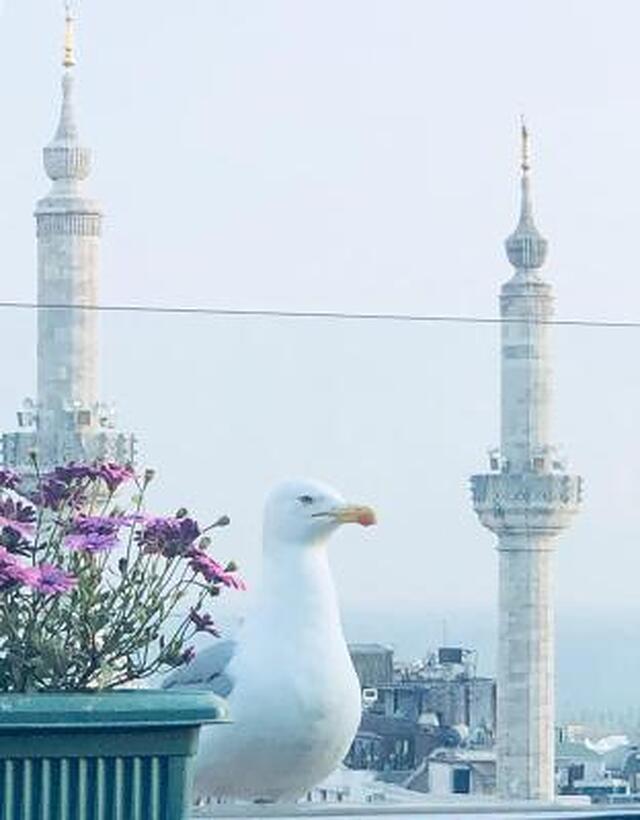 گرند واشنتگن هتل