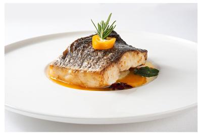 هتل آرکادیا بلو