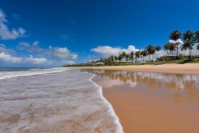 ایبرستار سلکشن پریا دو فرت