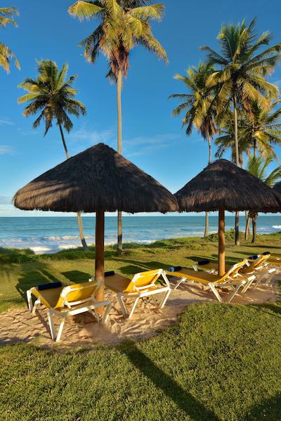 ایبرستار سلکشن پریا دو فرت