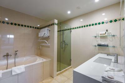 چاتیو اُن د پارک-چریسچورچ ا دوبلتری بای هیلتون هتل