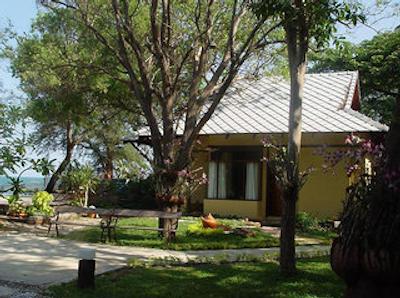 باان تال داو