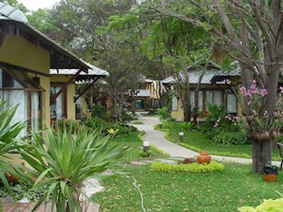 باان تال داو