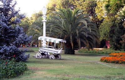 فنرباغچه اسپور کولوبو کنوکوی