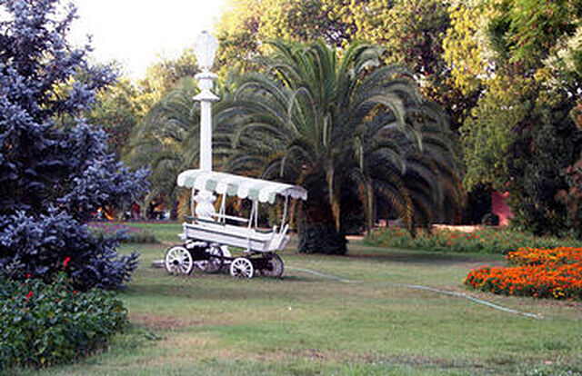 فنرباغچه اسپور کولوبو کنوکوی