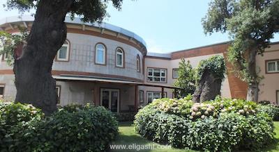 فنرباغچه اسپور کولوبو کنوکوی