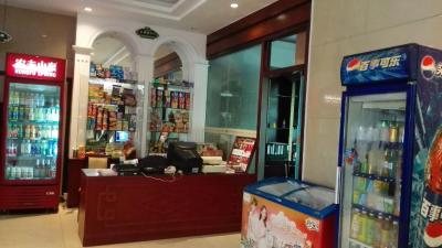 وینا آیرپرت هتل شنزهن