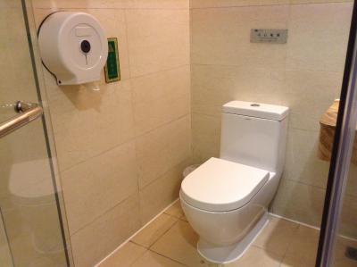 وینا آیرپرت هتل شنزهن