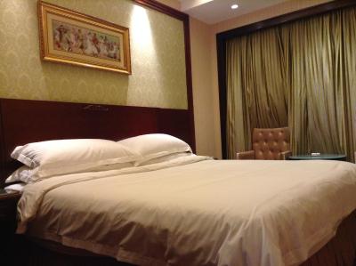 وینا آیرپرت هتل شنزهن