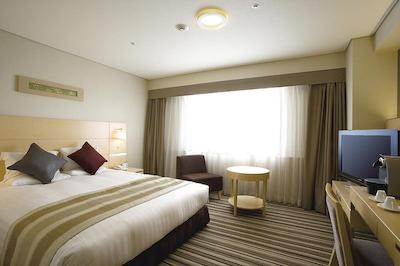 اکاساکا اکسسل هتل تکیو