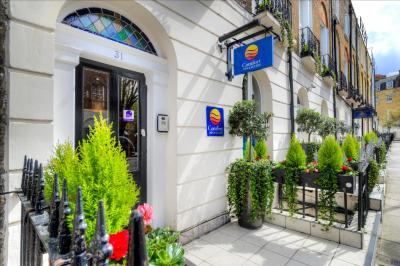 کمفرت این اند سویتز کینگز کرز