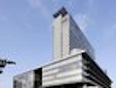 انا کرون پلازا اُکاما