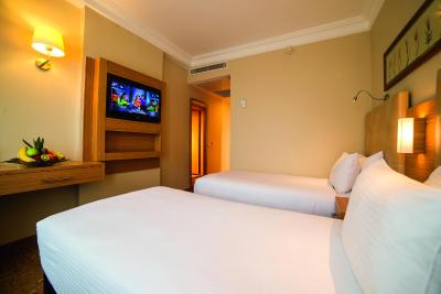 رادیسون هتل استانبول سلطان احمد