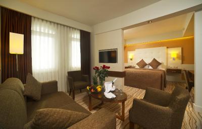 رادیسون هتل استانبول سلطان احمد