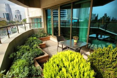 حيات سنتريک لونت