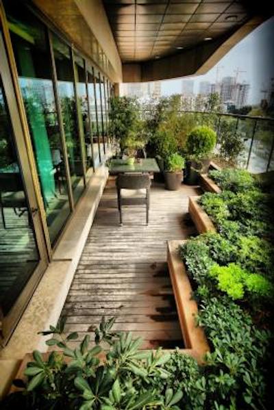 حيات سنتريک لونت