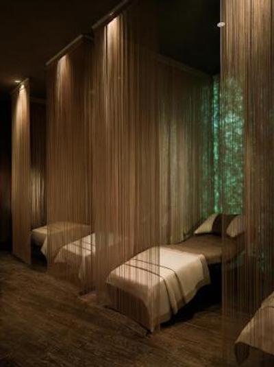 حيات سنتريک لونت