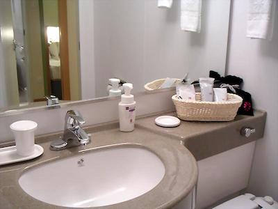 سانروت پلازا شینجوکو