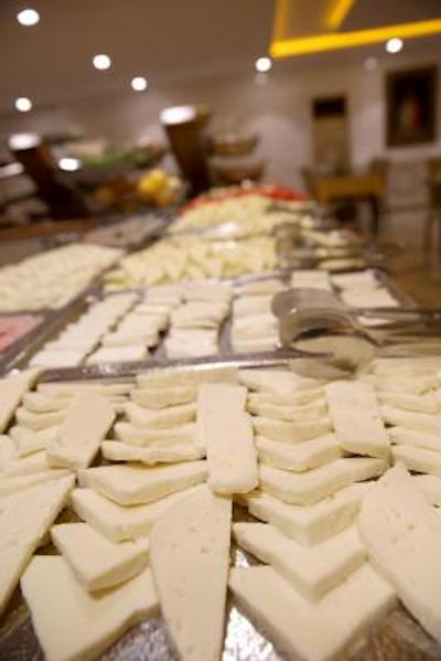 امیرتایمزهتل توزلا