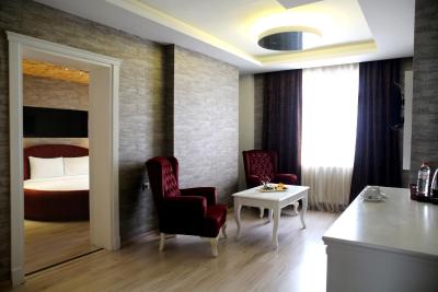 امیرتایمزهتل توزلا