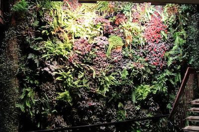 مید سیتی متل بالارات