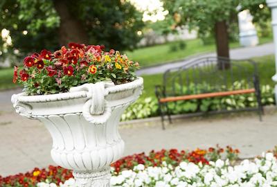 پارک-هتل فیلی