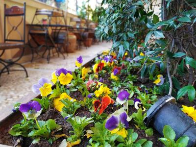 بست وسترن آنتئا پالاس هتل اند اسپا