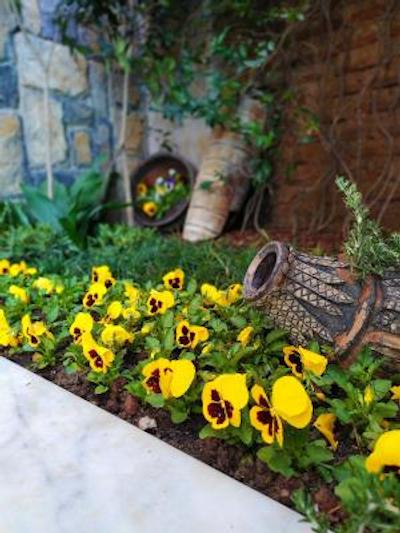 بست وسترن آنتئا پالاس هتل اند اسپا