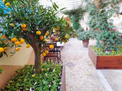 بست وسترن آنتئا پالاس هتل اند اسپا