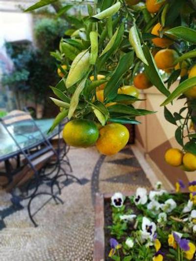 بست وسترن آنتئا پالاس هتل اند اسپا