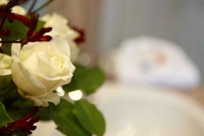 هتل دوسلدرف سیتی بای تولیپ این