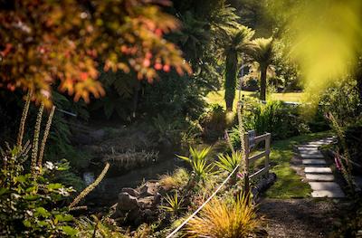 بست وسترن براسید رتروا