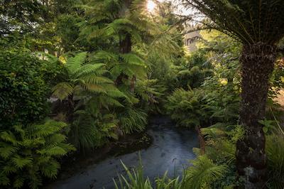 بست وسترن براسید رتروا