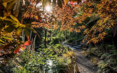 بست وسترن براسید رتروا