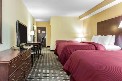 کلارین این اند سویتز نردوست