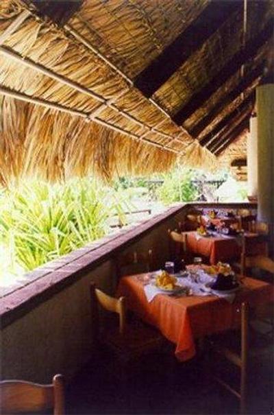 سیوداد ریل پالنک