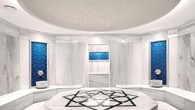 فریزر پلیس آنت هیل استانبول