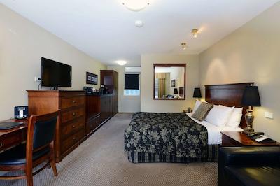 کوالیتی پورهوس ارمیدال