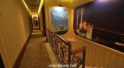 گلدن هورن سیرکچی