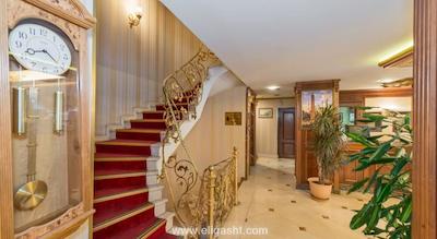 گلدن هورن سیرکچی